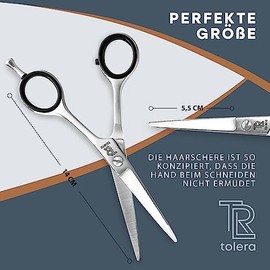 Hairdressing Scissors with Case | Hair Scissors - Sharp & Precise - Unisex Hair Cutting Scissors (Silver)