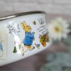 Robert Frederick Peter Rabbit Enamel Bowl