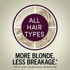 Schwarzkopf Keratin Color Permanent Hair Color, 10.1 Extra Light Ash