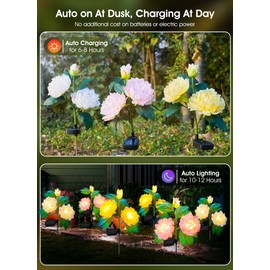 Outdoor Solar Flower Lights - 3 Pack Solar Garden Lights with Larger & More Realistic Peony, Bigger Solar Panel, Waterproof LED Solar Lights Outdoor for Yard Garden Lawn Pathway Decoration