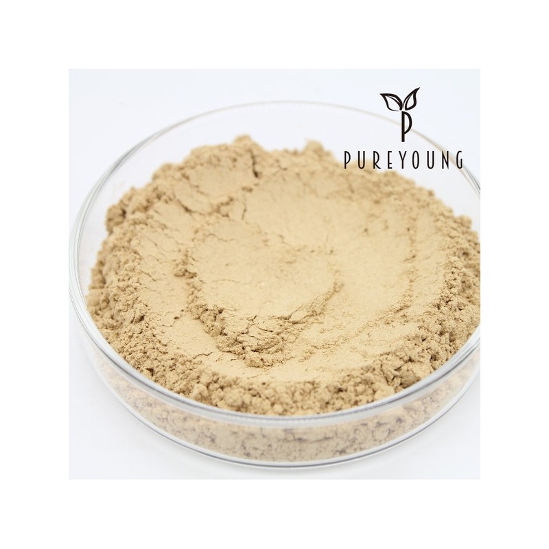 Agarwood Powder 100g Agarwood / 침향 가루 분말 100g 침향나무