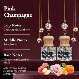 RoyAroma 2 Pack Hanging Car Air Freshener | Long Lasting 30-45 Days Natural Fragrance Oil Diffuser for Car, Home, Office | Odor Eliminator & Easy to Use | Pink Champagne
