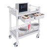 Medical Mobile Trolley Cart 2-Shelf 220 LBS Max Load Rolling