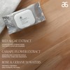 Arbonne Makeup Remover Wipes - Dissolve the Day Facial Cleansing