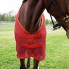 Country Pride Fitted Scrim Fly Sheet (Red, Small 70-72")