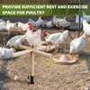 Chicken Perch Toy for Coop, Roosting Bars for Chickens in