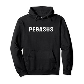 Pegasus Costume. Classic Greek Legend. Horse Pegasus Outfit Pullover Hoodie