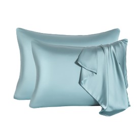 Mulberry Silk Pillowcase for Hair and Skin,Cooling Silk Pillow Case with Hidden Zipper,Allergen Proof Dual Sides Soft Breathable Smooth Silk Pillow Cover for Women. (Aqua Blue-2Pcs, Queen(20"x 30"))