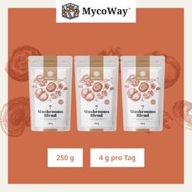 MycoWay Blend of Seven Mushrooms Powdered Extracts - 250g - 62 Servings - Strong Natural Extracts - Energy Boost - Comprehensive Body Support