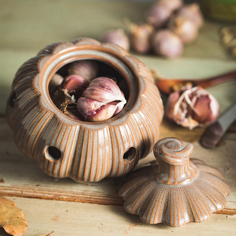 Garlic Storage Pod Ceramic Garlic Keeper with Lid Large Garlic