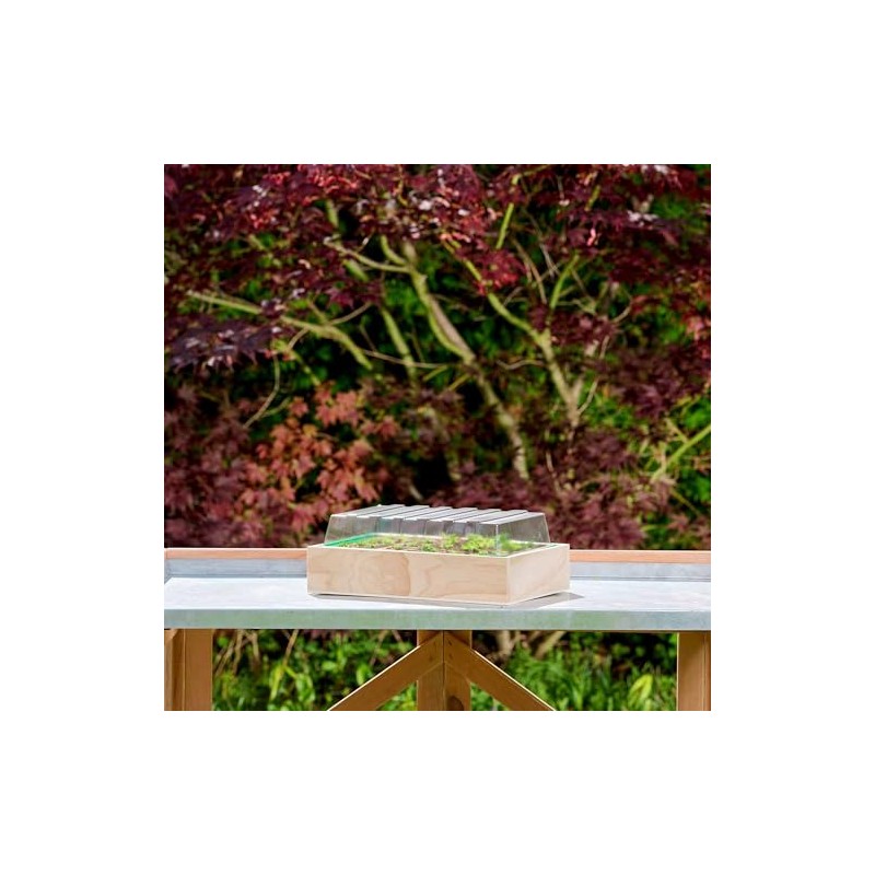 Romberg Wooden Cultivation House M 37 x 24 x 13