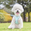 KUVEELA PET Harness, Lead Set, For Small Dogs and Cats,