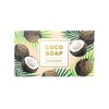 cocowell coco soap coconut