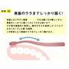 Sakabe Brush [Made in Japan] Perforation Reaches the Back Tooth