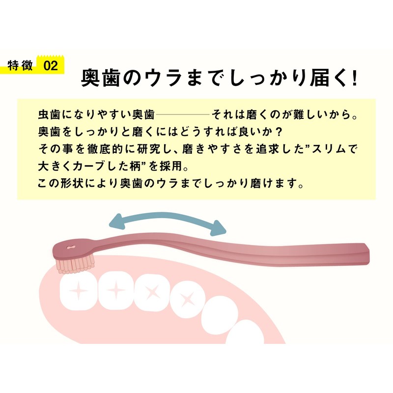 Sakabe Brush [Made in Japan] Perforation Reaches the Back Tooth