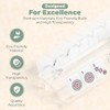 4-Pack Clear Scalloped All-in-One Acrylic Mahjong Racks with Magnetic Pushers