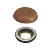 Nankai Plywood BCW50-BR Screw Concealed Screw Cap Set, Brown