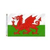 Wales Flag 5ft x 3ft