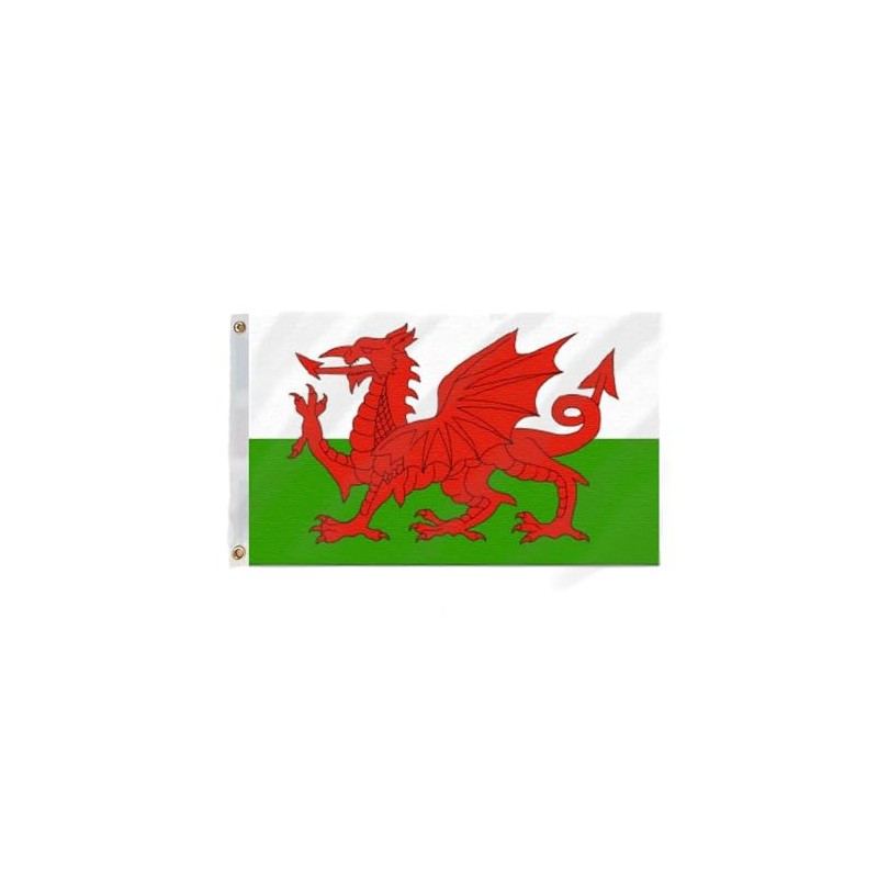 Wales Flag 5ft x 3ft