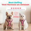 Best Pet Supplies Arnés Voyager Step-in Air de Malla para