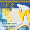 MiracleMist Instant Cleaner for Indoor and Outdoor Use, 32 oz