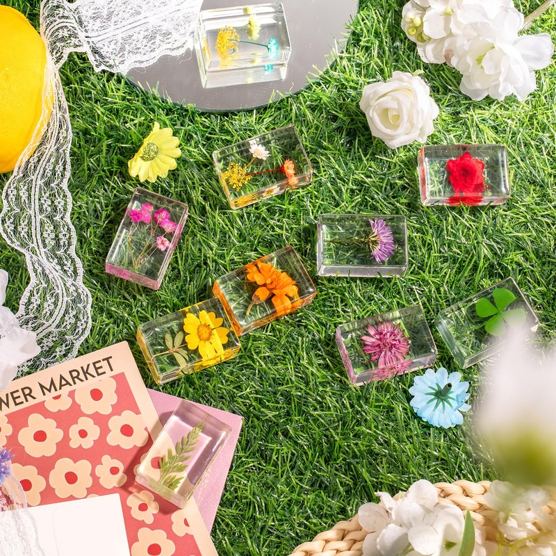 12 Pcs Real Pressed Flower Resin Paperweights - Botanical Specimen