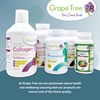 Grape Tree Multivitamins 240 Capsules 8 Month Supply Multivitamin Tablets