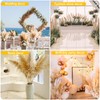 Pampas Grass Decor Tall, 47" Inch 10 Stems Natural Pompas