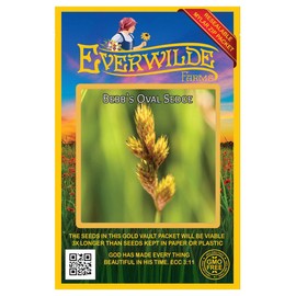 Everwilde Farms - 250 Bebb's Oval Sedge Native Grass Seeds - Gold Vault Seed Packet