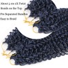 Passion Twist Hair Extensions Black to Dark Blue Curly Crochet