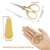 Embroidery Scissors Small, 2 Pieces Stainless Steel Craft Scissors for