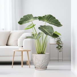 MPotTo 10 Inch Plant Pot Ceramic Planter Pot with Drainage Hole and Saucer Round Planter Large Flower Pot for Indoor Outdoor Plants Home Garden Decor White