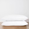 Karin Maki Standard Zippered Pillow Protectors Pack of 2 100%