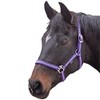 Shires Wessex Nylon Headcollar -Purple/Lilac Foal
