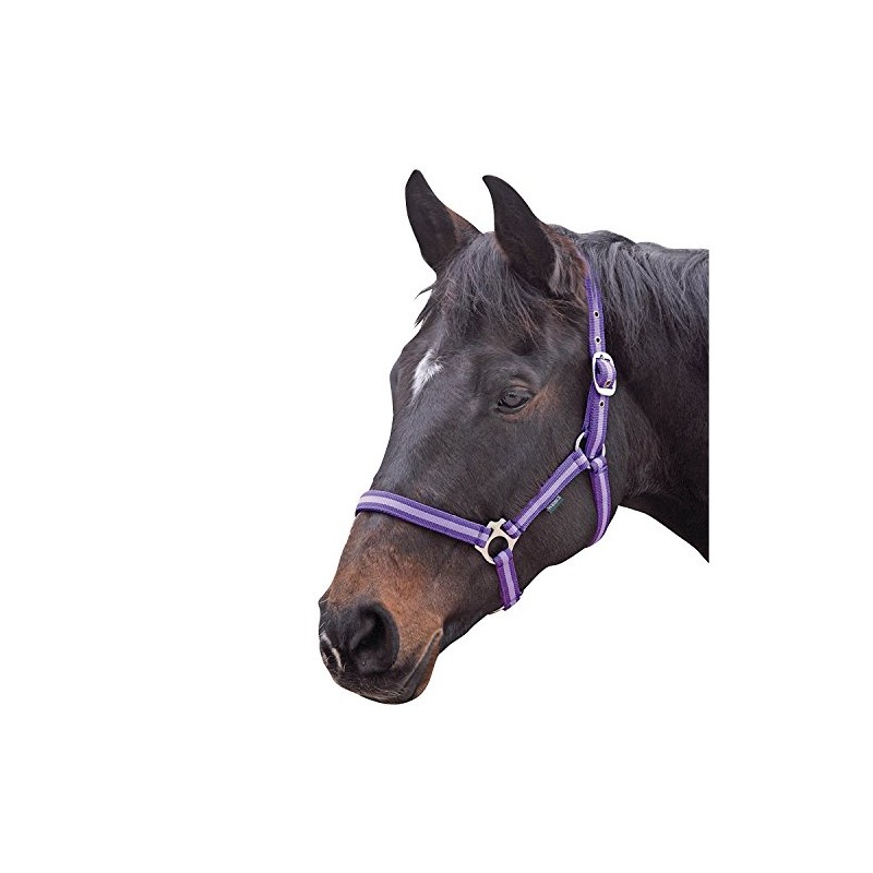 Shires Wessex Nylon Headcollar -Purple/Lilac Foal