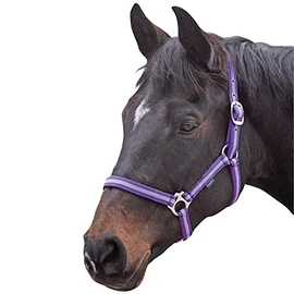 Shires Wessex Nylon Headcollar -Purple/Lilac Foal