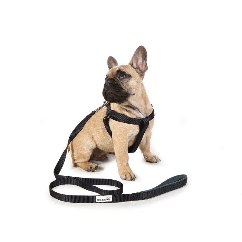 Doodlebone Originals Dog Harness, Peacock, 5-8