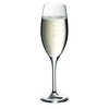 WMF Champagne Glass Easy Plus, Crystal, 26 x 10 x