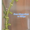 Fridge Magnets Ivy Magnets for Magnetic Board Magnets Fridge Magnets