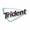 Trident Mint Variety 20 Count Sugar-Free Gum 20 14-stick Pack