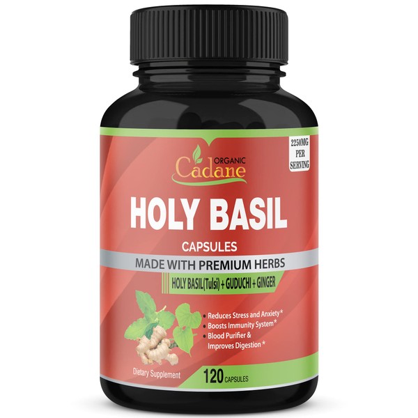 Organic Holy Basil Powder Capsules 2250mg with Ginger, Guduchi Extract | Supports Immune System, Encrease Energy | Tulsi Leaf Herb Supplements