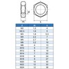 Eisenwaren2000 | M16 Hex Nuts (Pack of 10) - Nut