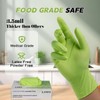 Disposable Latex-Free Gloves Green - 3.5mil 100 count Gloves Cleaning