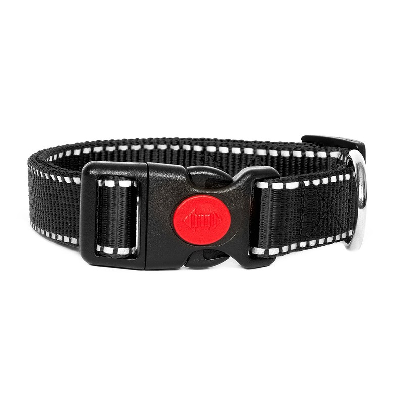 Dog Collar Reflective, red
