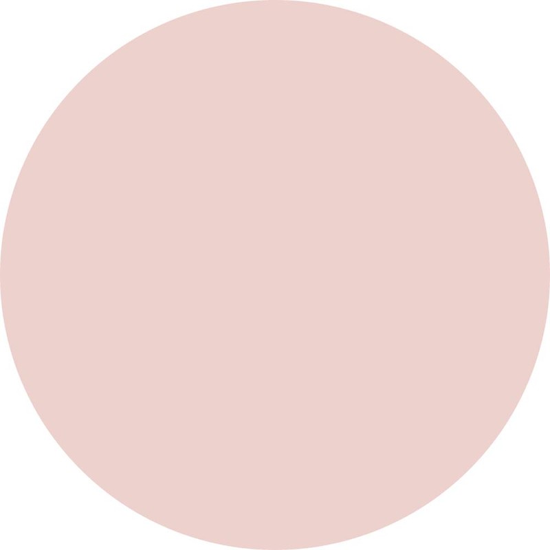 Preanfa PGU-M316 Color Gel Lapin Beige 316 0.1 oz (3