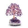 RelaxNest Crystal Tree Amethyst Money Tree | Purple Tree of