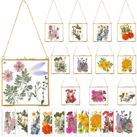 Barydat 12 Pcs 6 Inch Double Glass Pressed Flower Frame with Dried Flower Pouches Tweezers Clear Brass Embossed Wall Hanging Floating Picture Frame with Metal Chain for Photo Postcard Display Decor