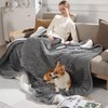 Zorvixia Electric Blanket Twin Size - 62"x84" Heating Blanket Twin