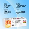 Double Dragon Thermal Printer Paper – 2 Rolls (210mm x