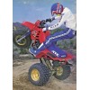 CPJ HONDA ATC 250R HEADLIGHT CASE MOUNTING RED STRAP, BAND